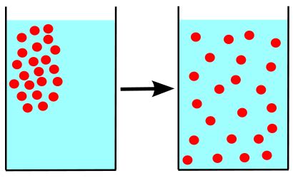 What Is a Concentration Gradient?