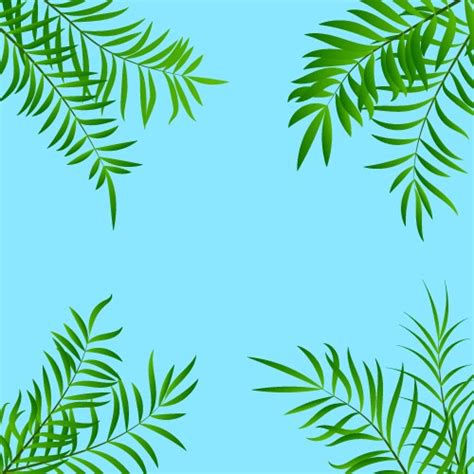 Summer beach frame background with tropical leaf Vector Image