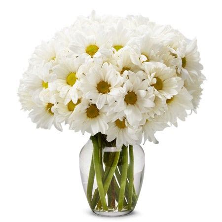 Small White Daisy Bouquet at Send Flowers