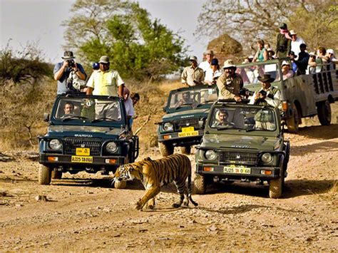 Wildlife Tourism – New Study, New Revelations | Conservation India