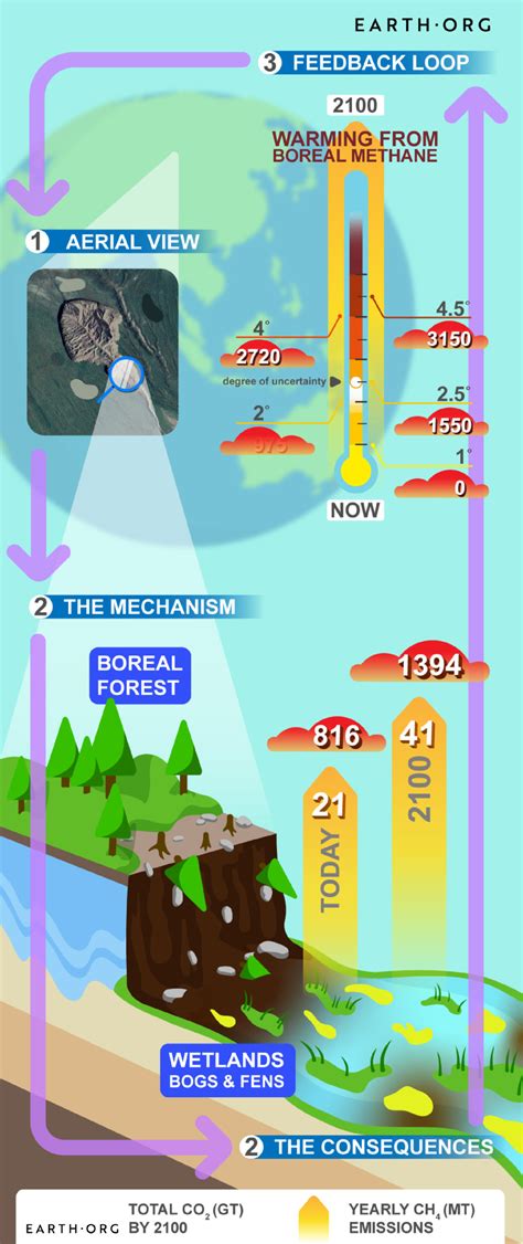 Permafrost Thaw In The Canadian Boreal Forest | Earth.Org