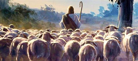 Jesus the Good Shepherd leads his sheep in John 10 | Psephizo