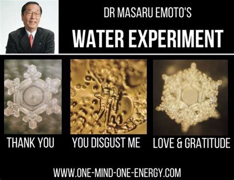 Dr Masaru Emoto´s Water Experiment With Words | Water experiments, Masaru emoto, Everything is ...