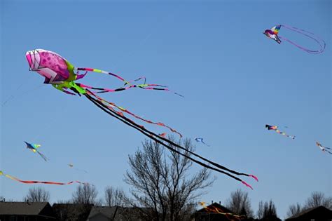 PHOTOS: 2023 Arvada Kite Festival