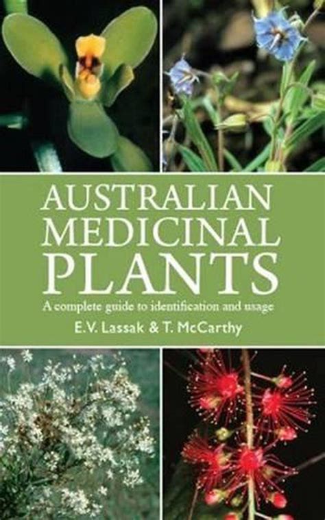 Australian Medicinal Plants by T. McCarthy, Paperback, 9781877069864 ...