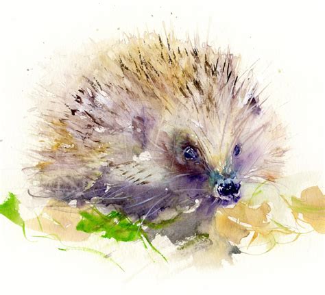 Hedgehog print,LIMITED edition print, animal art, wildlife art print ...