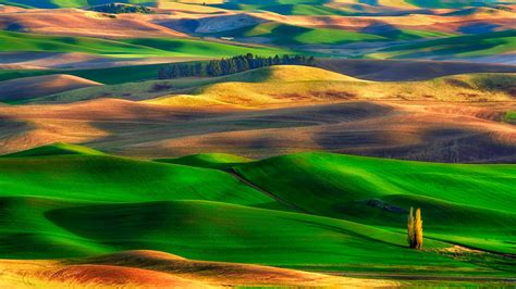 Colorful rolling hills in Palouse, Washington - backiee