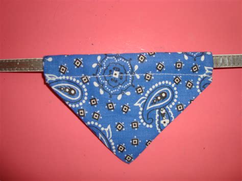 Anngela's Pretty Little Things: Easy Dog Bandana {Tutorial}