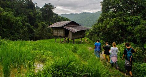 Chiang Mai rice terraces tour | Chiang Mai trekking