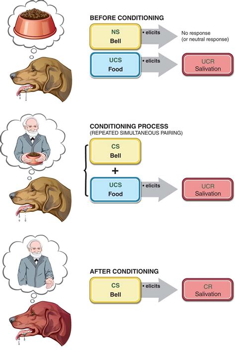 Log On to Constellation | Bcba, Applied behavior analysis, Behavior analysis