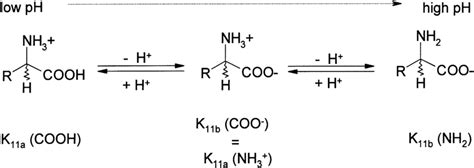 Different state of protonation for amino acids at different pH values ...