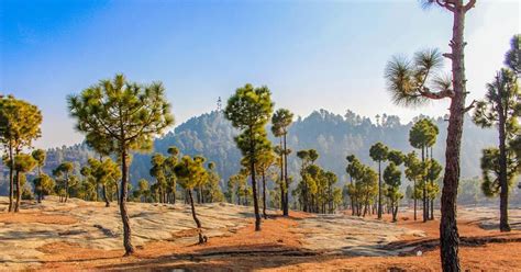 KOTLI SATTIAN: MURREE-KOTLI SATTIAN-KAHUTA NATIONAL PARK