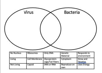 Virus and Bacteria Comparison Venn Diagram by Sarah Ballinger Rodriguez