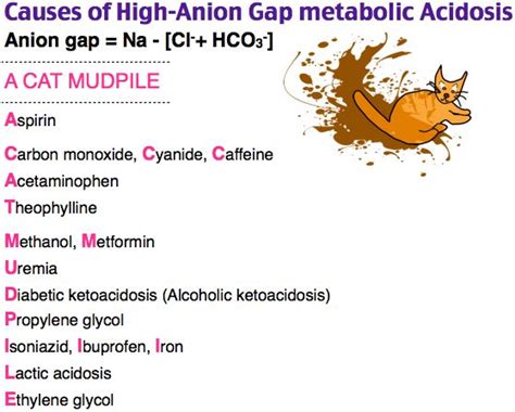 causes of high-anion gap metabolic acidosis - ER - renal - pharm | Metabolic acidosis, Anion gap ...