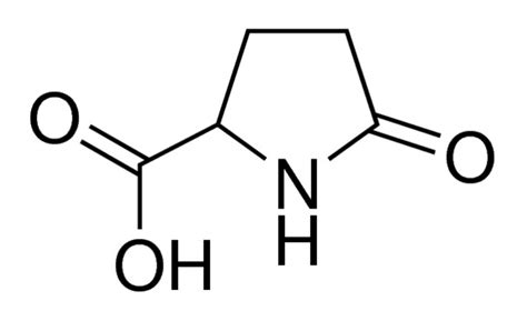 2-Pyrrolidone-5-carboxylic acid 99% | 149-87-1