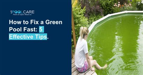 How to Fix a Green Pool Fast: 5 Effective Tips | 1 Pool Care