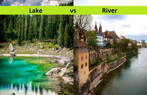 River Vs. Lake: What's The Difference? – Difference Camp