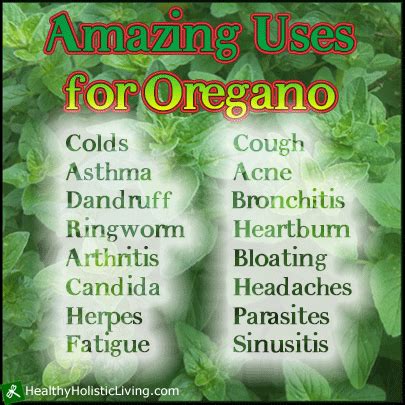 Health benefits of oregano