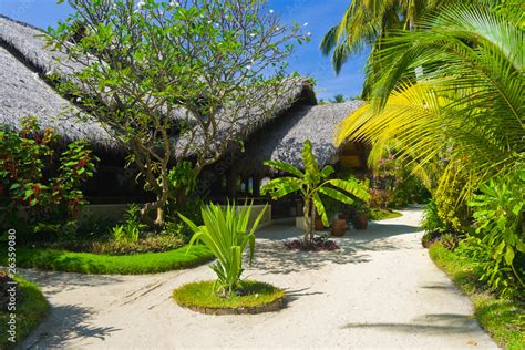 Bungalows on beach and sand pathway Stock Photo | Adobe Stock