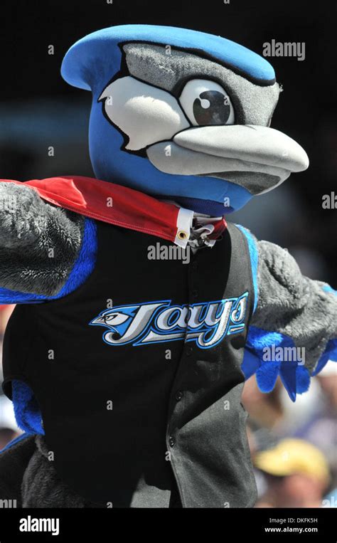 Toronto blue jays mascot hi-res stock photography and images - Alamy