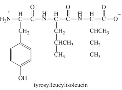 Solved: Consider the tripeptide tyrosylleucylisoleucine. a. Specify its ...