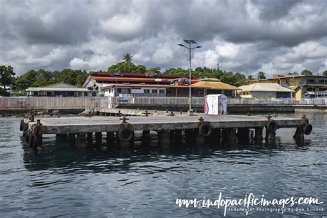 Diving Rabaul and Kokopo - Explained... | Indopacificimages