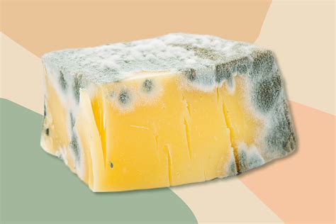 Can You Eat Moldy Cheese? We Asked an RD, So You Don't Have To - Brightly