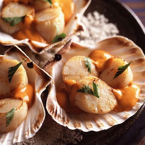 Best Seafood Recipes around the world | Fine Dining Lovers