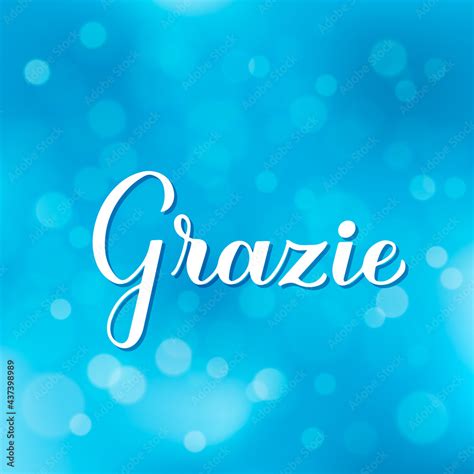 Thank you calligraphy hand lettering in Italian language on blurred bokeh background. Vector ...