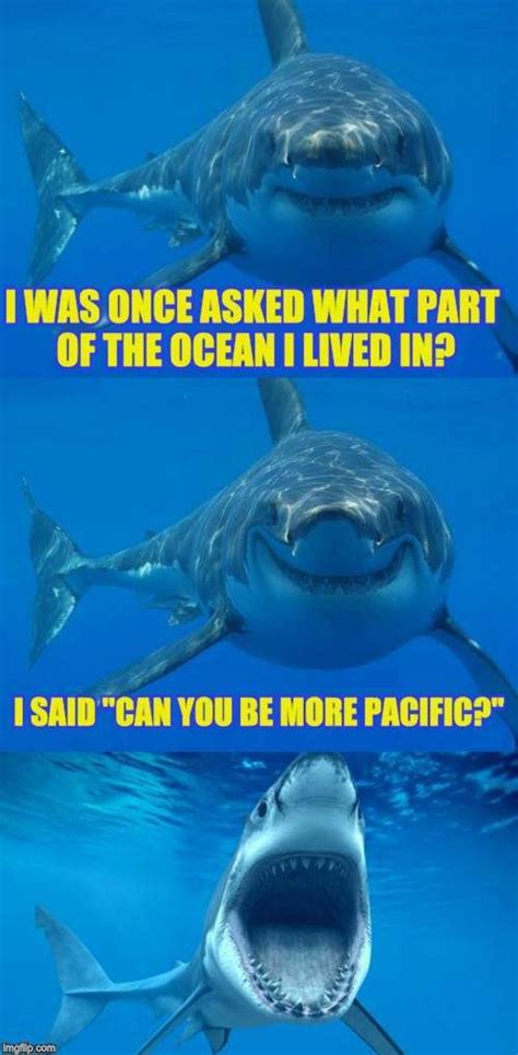 Funny Shark Week Memes for 2024 - Lola Lambchops