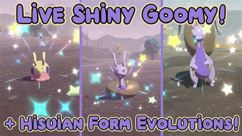 Live Shiny Goomy! + Hisuian Form Evolutions! - Pokemon Legends Arceus - YouTube