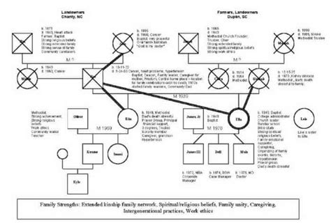 Genogram Example Social Work