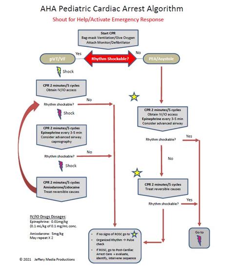 Acls Tachycardia Algorithm Pulseless Ventricular Tachycardia Acls | Porn Sex Picture