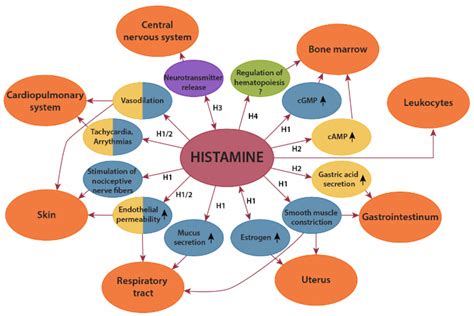 Histamine Intolerance!