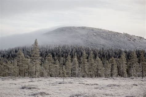 Kolari | Film Lapland