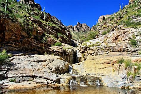 12 rutas de senderismo mejor valoradas en Tucson - Bookineo