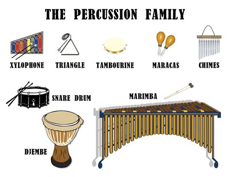 Musical Percussion Instruments With Names