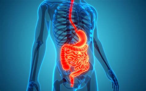 Gut Health: How to Protect Your Digestive System - HealthXchange.sg