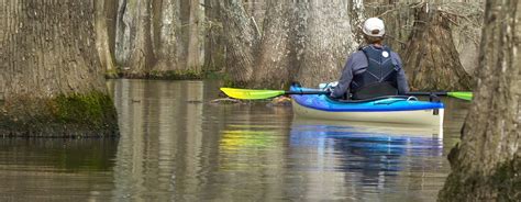 Chicot State Park beautiful canoe trails | The Heart of Louisiana