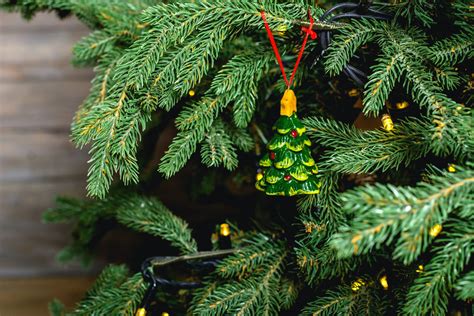 8 Sustainable Ways to Recycle Christmas Trees & Lights