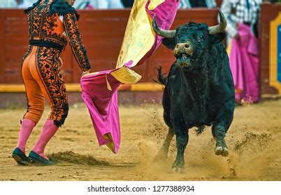 Spanish Bullfighting Bull Matador Stock Photo 1277388934 | Shutterstock