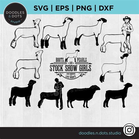 Show Lamb Bundle SVG, Lamb SVG, Market Lamb Silhouette, Stock Show Svg ...