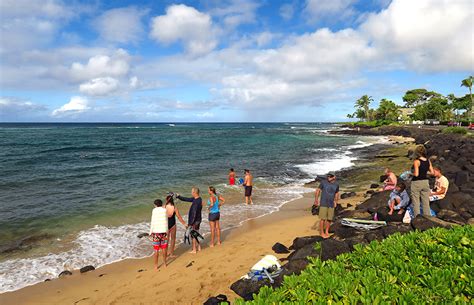 Snorkeling Lawai Beach- Get Up Close And Personal With Fish