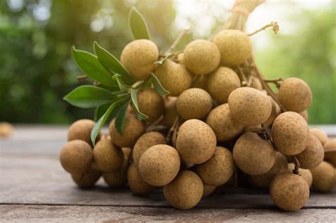 สูตรและวิธีการทำไวน์ลำไย Longan Wine Recipe