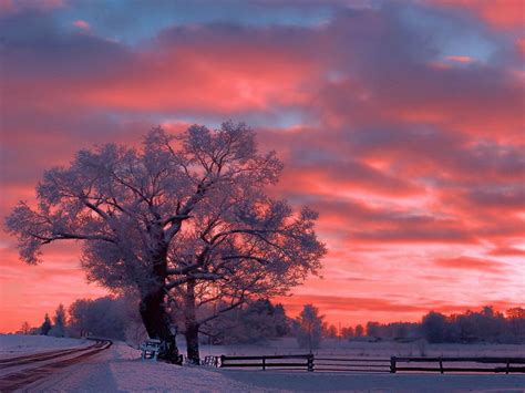 sun snow - Bing Images | Günbatımları, Gündoğumu, Manzara