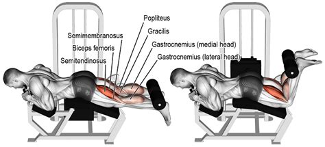 Lying Leg Curl | Nasıl Yapılır? | Nereyi Çalıştırır? | FitnessAndBeast