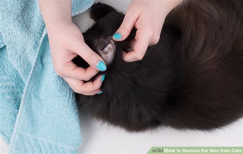 How to Remove Ear Wax from Cats: 14 Steps (with Pictures)