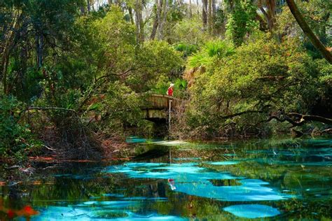 Tips for Juniper Springs: A Perfect Summer Oasis - Florida Trippers