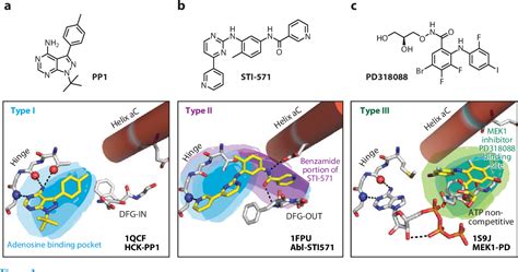 Figure 3 from The evolution of protein kinase inhibitors from antagonists to agonists of ...