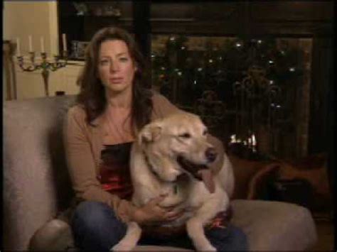 Sarah McLachlan "Silent Night" SPCA Commercial - YouTube